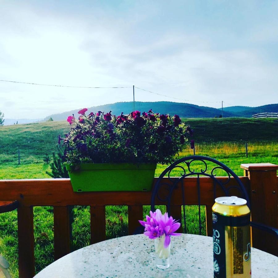 Planinska Kuca Villa Žabljak Buitenkant foto