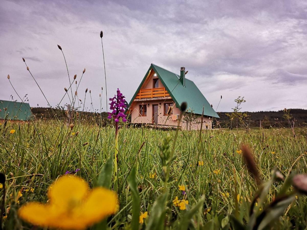 Planinska Kuca Villa Žabljak Buitenkant foto